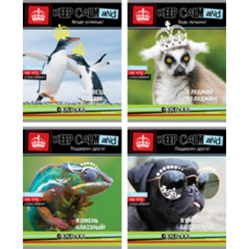 Тетрадь ученическая 48л. в клетку "Покажи на что способен!" (ассорти)(10/80) Тетрадь ученическая 48л. в клетку "Покажи на что способен!" (ассорти)(10/80)