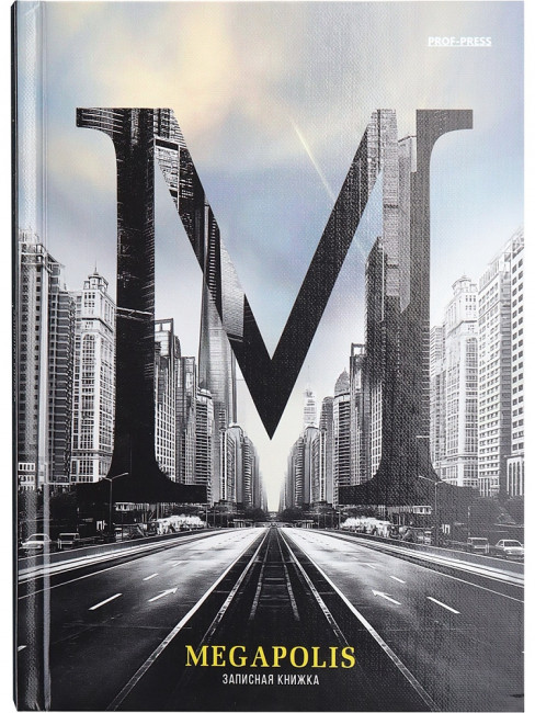 Записная книжка А5 160л клетка "Мегаполис", 7БЦ, сшивка, Проф-Пресс/160-1702 (12)