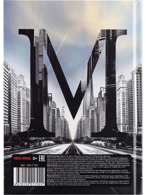 Записная книжка А5 160л клетка "Мегаполис", 7БЦ, сшивка, Проф-Пресс/160-1702 (12)