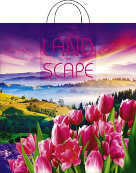 Пакет ПНД петлевой (38*42) 40 мкм "Просторы" (25) Пакет ПНД петлевой (38*42) 40 мкм "Просторы" (25)