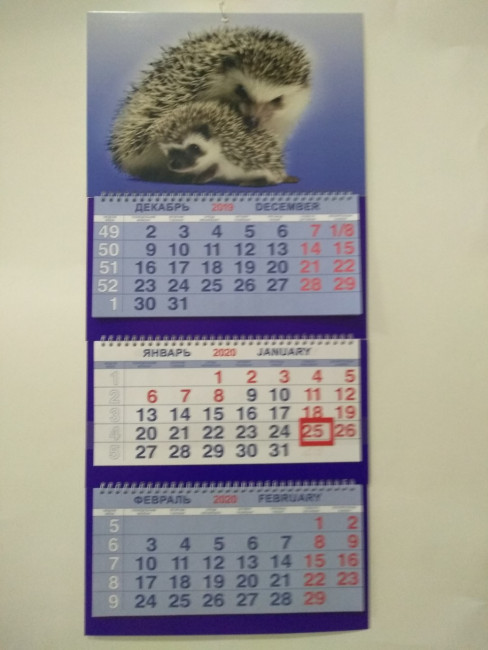 Календарь трио на гребне Ёжик сынуля