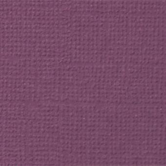 Бумага 30.5x30.5 см 216 г/кв.м для скрапбукинга "Молодой виноград" фиолетовый, 10л, Mr.Painter /PST №12 Бумага 30.5x30.5 см 216 г/кв.м для скрапбукинга "Молодой виноград" фиолетовый, 10л, Mr.Painter /PST №12