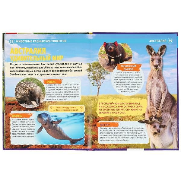 Энциклопедия с развивающими заданиями «Животные разных континентов». Формат: А4 48стр, Умка