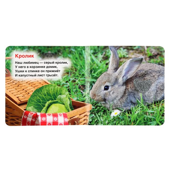 Книга с тактильными вставками «В. Степанов. Пушистые малыши». Формат: 120х120мм 6стр, Умка Книга с тактильными вставками «В. Степанов. Пушистые малыши». Формат: 120х120мм 6стр, Умка