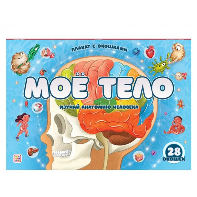 Плакат "Мое тело" с окошками. Формат: 32,5х115,5см, MaLaMaLaMa