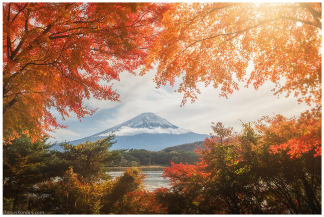 Пазл 1000 элемент "Осень в Японии" ФРЕЯ