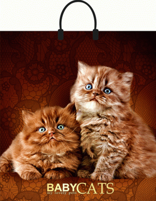 Сумки п/э с пластиковой ручкой (40*44) "Бэбикэтс" (10)