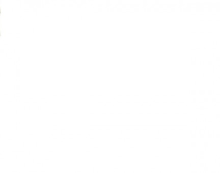 Ручка шариковая 1,0мм красная "TRI-MATE", Cello (50/4000)