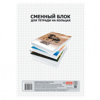 Сменный блок А4 120 л клетка для тетради на кольцах, ACTION/AN4 12001/R (20)