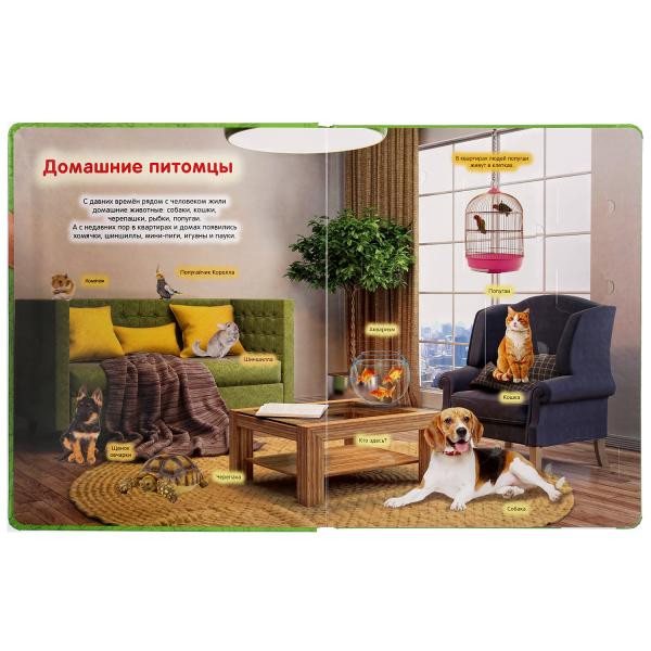 Развивающая книга с окошками «Животные». Формат: 222х282мм 12стр, Умка