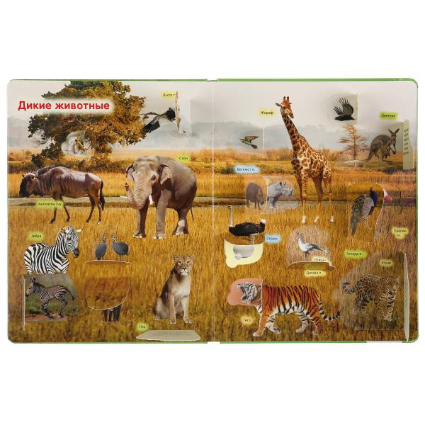 Развивающая книга с окошками «Животные». Формат: 222х282мм 12стр, Умка