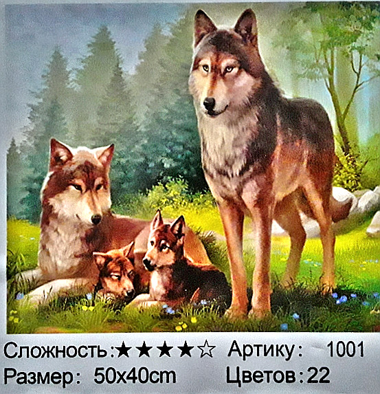 Алмазная мозаика: 50*40 см,; присутствует имитация рамы; состав: акрил, круглые стразы, стилус, лоток, желеобразный клей, металл. крепеж,МС-5405-1001