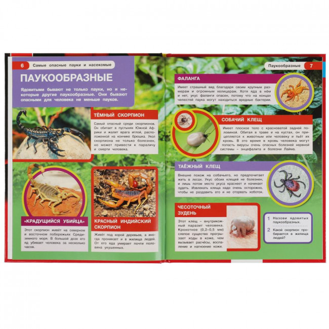 Энциклопедия с развивающими заданиями «Самые опасные пауки и насекомые». Формат: 197х255мм 48стр, Умка