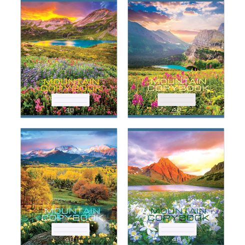 Тетрадь 48 клетка "Горные цветы" скрепка, BG (20/160)