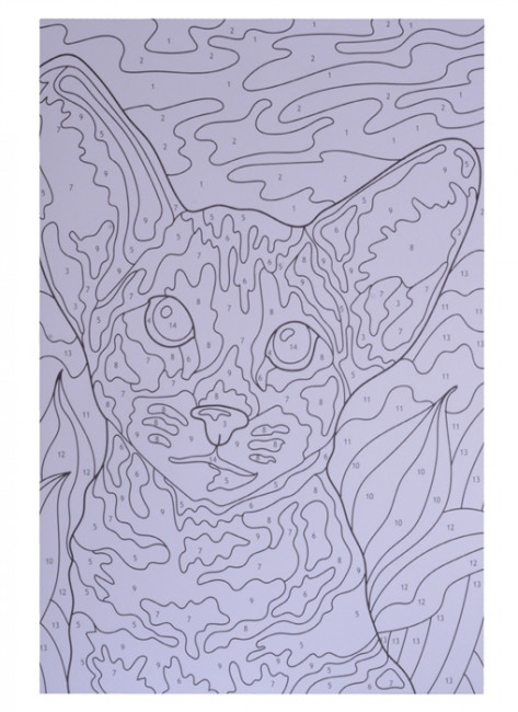 Картины для раскрашивания по номерам "Кошки и собаки". Формат:480х340х5 10стр, Проф-Пресс