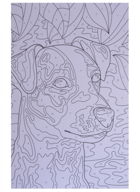 Картины для раскрашивания по номерам "Кошки и собаки". Формат:480х340х5 10стр, Проф-Пресс