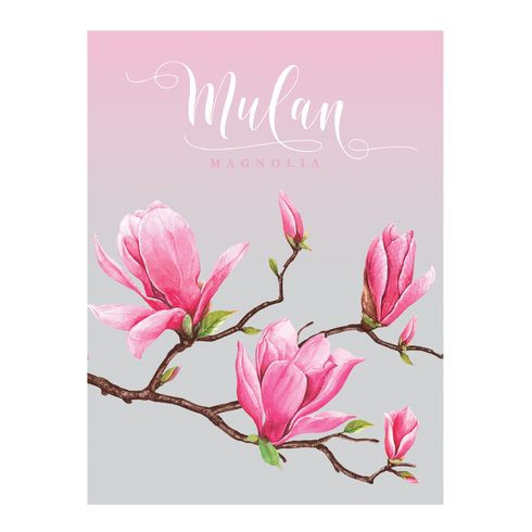 Тетрадь для записей со сменным блоком А5 160л. клетка "Магнолия" ламинация матовая