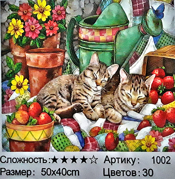 Алмазная мозаика: 50*40 см,; присутствует имитация рамы; состав: акрил, круглые стразы, стилус, лоток, желеобразный клей, металл. крепеж,МС-5405-1002