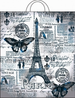 Пакет ПНД петлевой 38*42 40 мкм "Парижский день" (25) Пакет ПНД петлевой 38*42 40 мкм "Парижский день" (25)