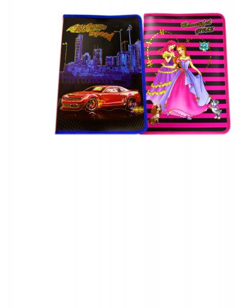 ПАПКА ДЕТСКАЯ НА МОЛНИИ АССОРТИ( С ЧАСТИЧНОЙ ФОЛЬГОЙ) А4 ASMAR (12)