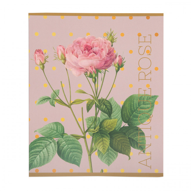 Тетрадь А5 48л клетка скоба "Цветы №5" "Светоч" (10)