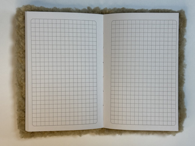 Блокнот детский А6 64л клетка "Капибара", меховая обложка с апликацией, MAG-1650