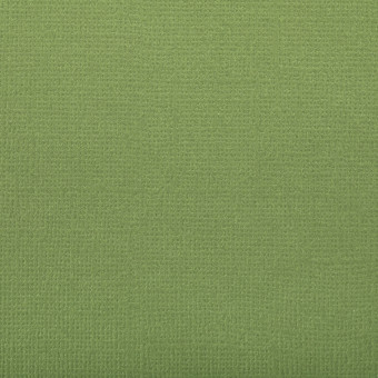 Бумага 30.5x30.5 см 216 г/кв.м для скрапбукинга "Морская ламинария" темн. зеленый, 10л, Mr.Painter /PST №57