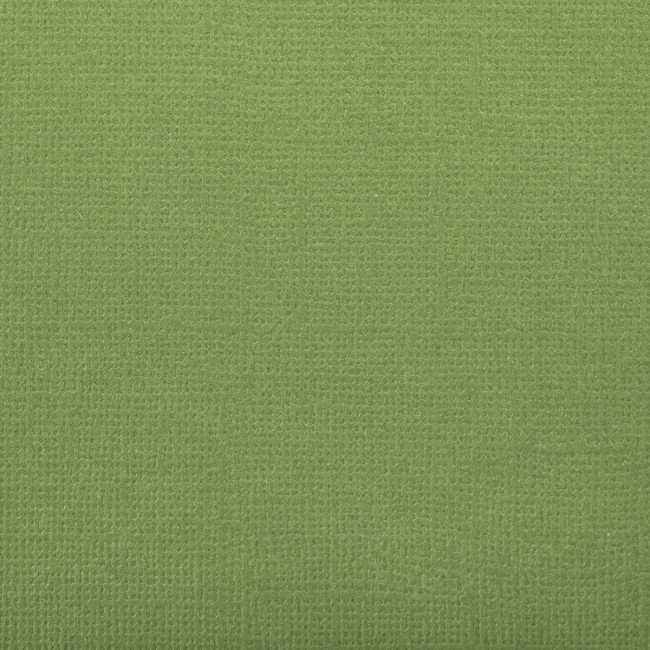 Бумага 30.5x30.5 см 216 г/кв.м для скрапбукинга "Морская ламинария" темн. зеленый, 10л, Mr.Painter /PST №57