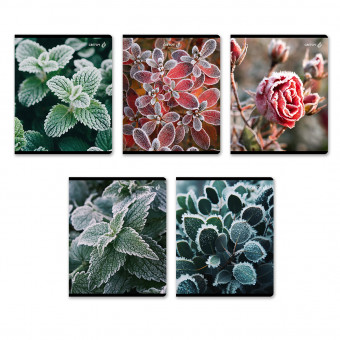 Тетрадь 48 клетка "Морозная свежесть" скрепка, Светоч/Т71_01503 (10)