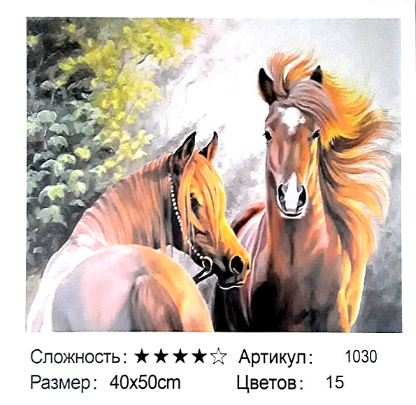 Алмазная мозаика+раскраска по номерам: 50*40 см, сложность 4*; 9D а; состав: льняной холст, акриловые круглые стразы, 3 кисти;  МС-5402- 1030