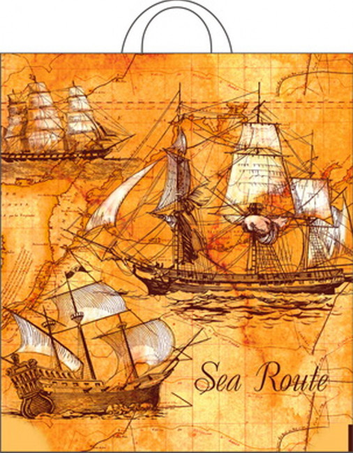 Пакет ПНД петлевой 38*42 40 мкм "Рейд" (25)