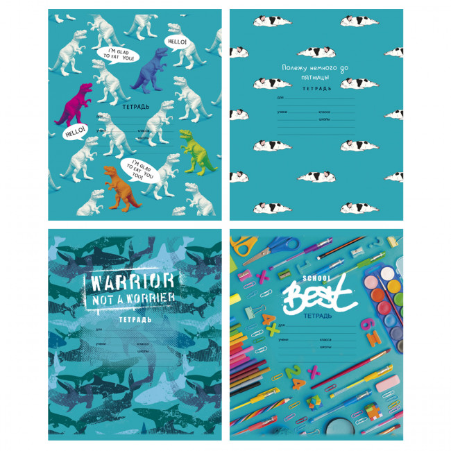 Тетрадь 12 клетка "Cool boy" скрепка (ассорти), ВG (16/160)