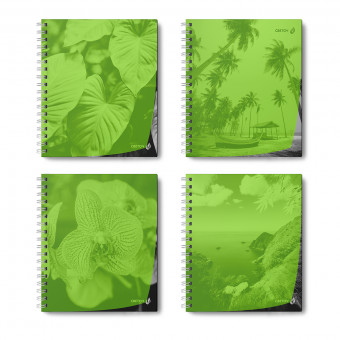 Тетрадь 48 клетка "Тайны природы, лайм" на гребне, Светоч/Т208_01546 (4)