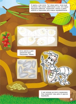 Раскраска с наклейками (А4) "В мире насекомых", РНЗН-005