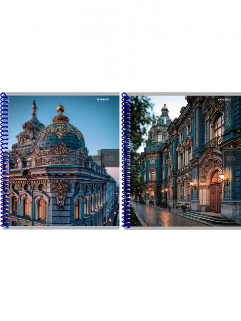 Тетрадь 48 клетка "Городская архитектура - 5", на спирале, Проф-Пресс/48-8320 (10/80)