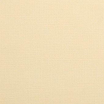 Бумага 30.5x30.5 см 216 г/кв.м для скрапбукинга "Нежный лютик" св.желтый, 10л, Mr.Painter /PST №41