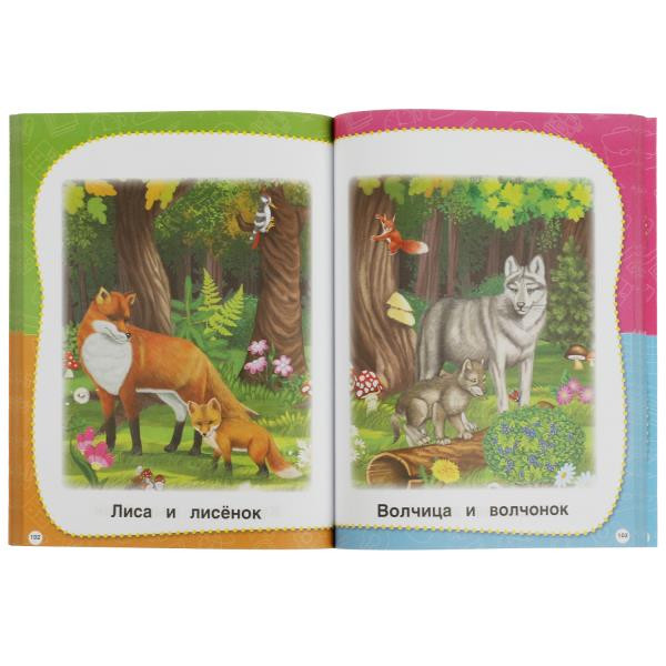 Учебное пособие «М. А. Жукова. Полный годовой курс занятий, 2-3 года». Формат: 197х255мм 192стр, Умка