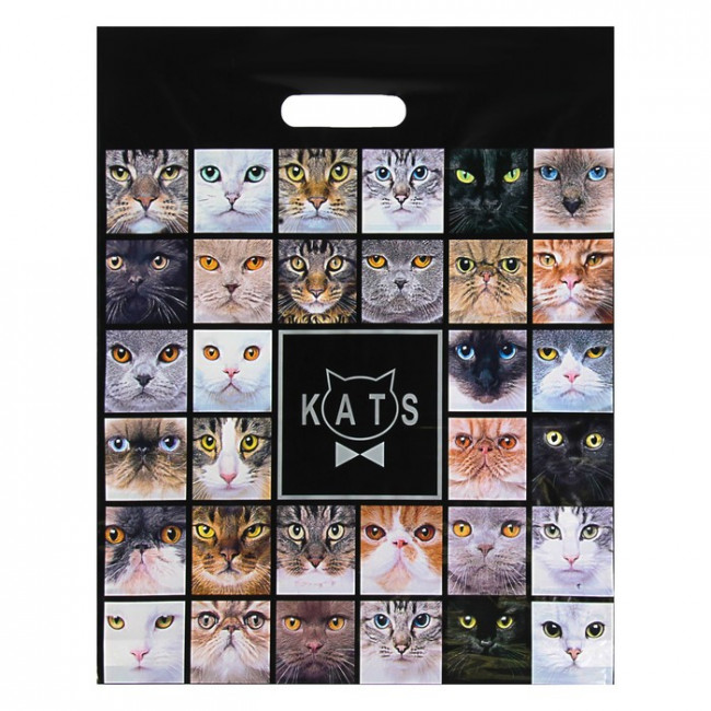 Пакет ПВД (38*47) 60 мкм "Котики"