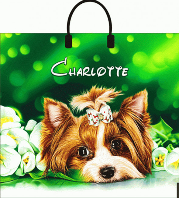 Сумки п/э с пластиковой ручкой (40*44) "Шарлота"