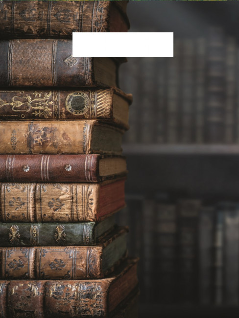 Пакет полиэтиленовый Библиотека (36.5х48 см) ПКП-2915