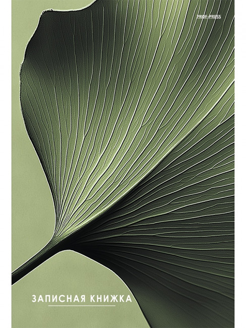 Записная книжка А5 80л клетка "Зелёный лист", 7БЦ, сшивка, Проф-Пресс/80-7582 (14)