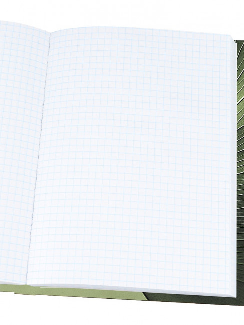 Записная книжка А5 80л клетка "Зелёный лист", 7БЦ, сшивка, Проф-Пресс/80-7582 (14)
