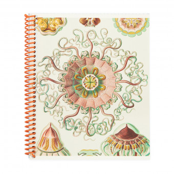 Тетрадь 80 клетка "Медузы" спираль, Светоч (6)