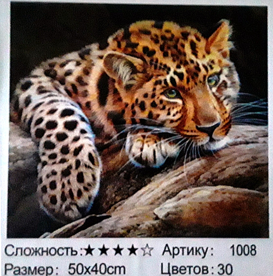 Алмазная мозаика: 50*40 см,; присутствует имитация рамы; состав: акрил, круглые стразы, стилус, лоток, желеобразный клей, металл. крепеж,МС-5405-1008