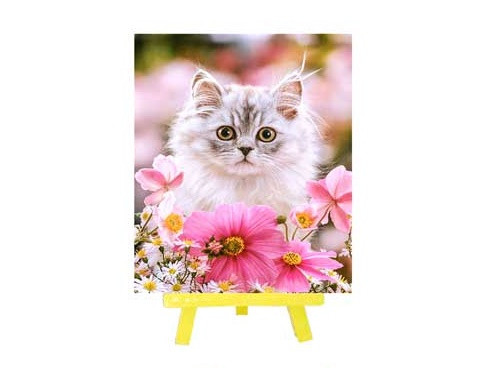 Алмазная мозаика с мольбертом  КОТ В ЦВЕТАХ,21х25 см, 1 дизайн, частичная выкладка,  ОПП упаковка.