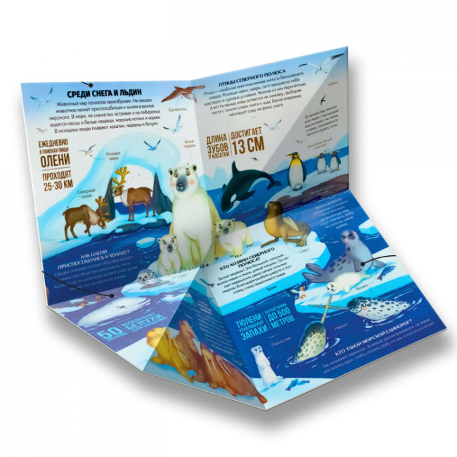 Книжка-трансформер "Животные". Формат: 16.50x16.50cм, MaLaMaLaMa