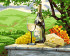 Картина по номерам "Деликатесы Италии " 40*50см, B138, картонная упаковка