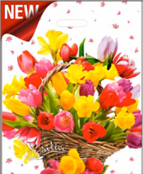 Пакет ПВД (38*47) 60 мкм "Хорошее настроение" (50)