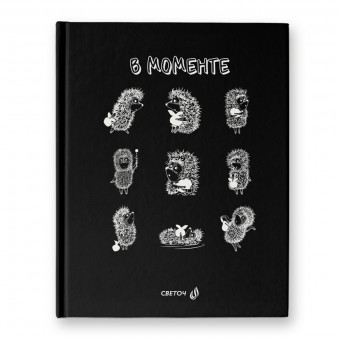 Бизнес-блокнот А5+ 80л клетка "В моменте", обложка - твердый картон, Светоч/ББ102_01165 (24)