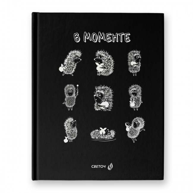 Бизнес-блокнот А5+ 80л клетка "В моменте", обложка - твердый картон, Светоч/ББ102_01165 (24)